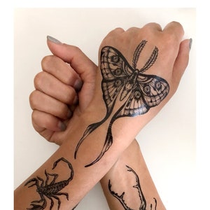 Temporary Tattoos 1 Sheet Moth Beetle Scorpion Bee Dragonfly Insect Tattoos image 5