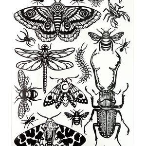 May include: A sheet of black and white temporary tattoos featuring various insects including a large moth, a dragonfly, a stag beetle, a scorpion, bees, ants, and a centipede. The text ONYX03 appears in the top left and J IRIS Studio in the bottom right.
