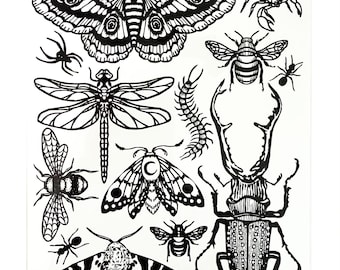 May include: A sheet of black and white temporary tattoos featuring various insects including a large moth, a dragonfly, a stag beetle, a scorpion, bees, ants, and a centipede. The text ONYX03 appears in the top left and J IRIS Studio in the bottom right.