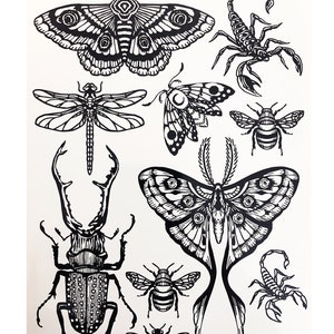Temporary Tattoos 1 Sheet Moth Beetle Scorpion Bee Dragonfly Insect Tattoos image 6