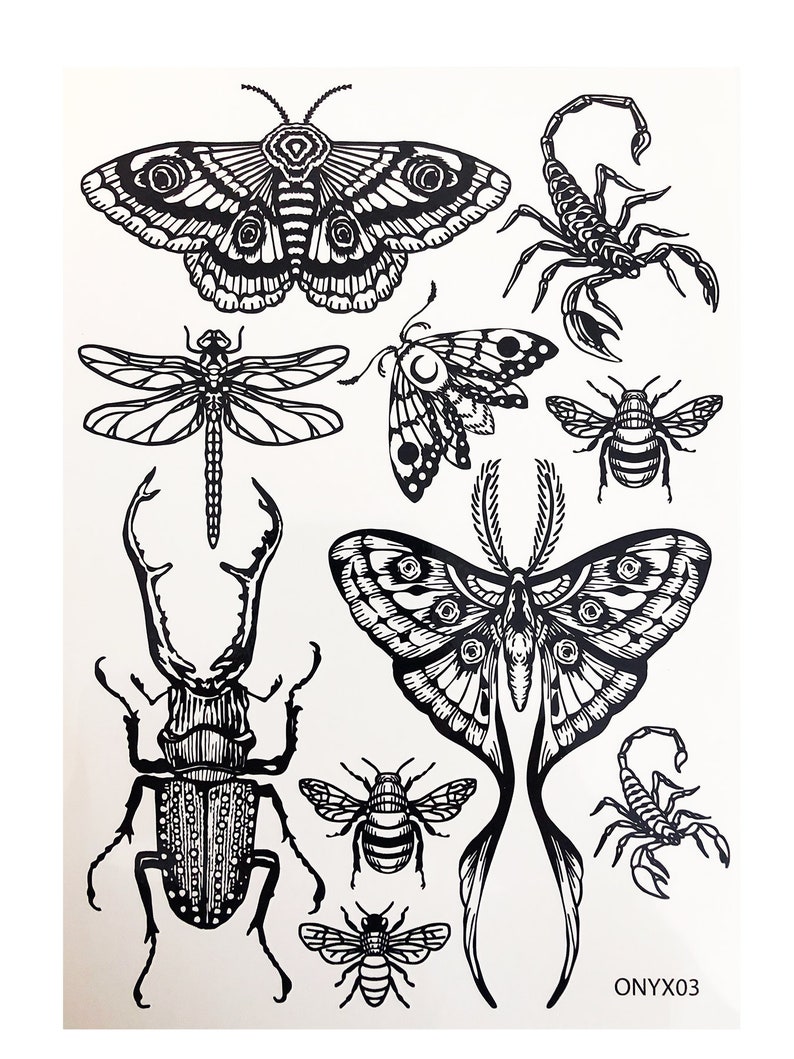 Temporary Tattoos 1 Sheet Moth Beetle Scorpion Bee Dragonfly Insect Tattoos image 6