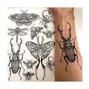 May include: A sheet of black and white temporary tattoos featuring various insects and arachnids, including moths, a dragonfly, bees, scorpions, and a stag beetle, with a stag beetle tattoo applied to the skin of a forearm.
