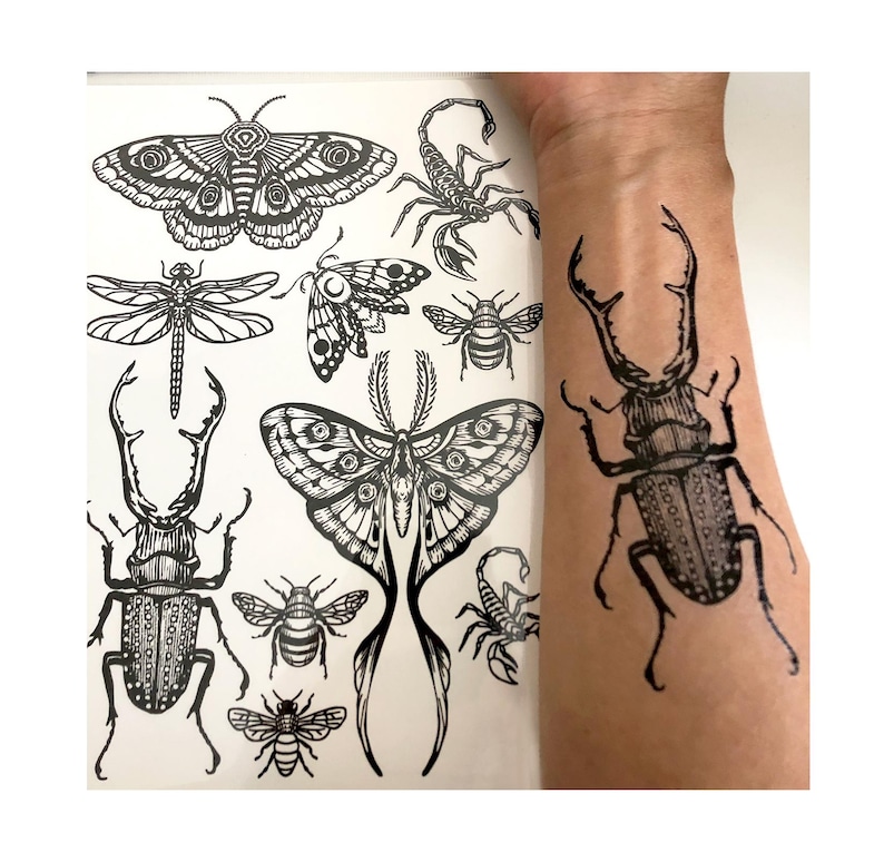 May include: A sheet of black and white temporary tattoos featuring various insects and arachnids, including moths, a dragonfly, bees, scorpions, and a stag beetle, with a stag beetle tattoo applied to the skin of a forearm.