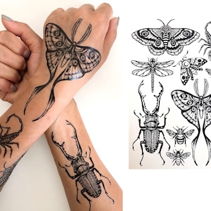 Temporary Tattoos- 1 Sheet - Moth Beetle Scorpion Bee Dragonfly Insect Tattoos