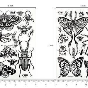 May include: Two rectangular sheets of black and white temporary tattoos featuring various insects and arachnids. Each sheet measures 5 inches by 7 inches and displays detailed illustrations of moths, butterflies, beetles, spiders, scorpions, and bees.