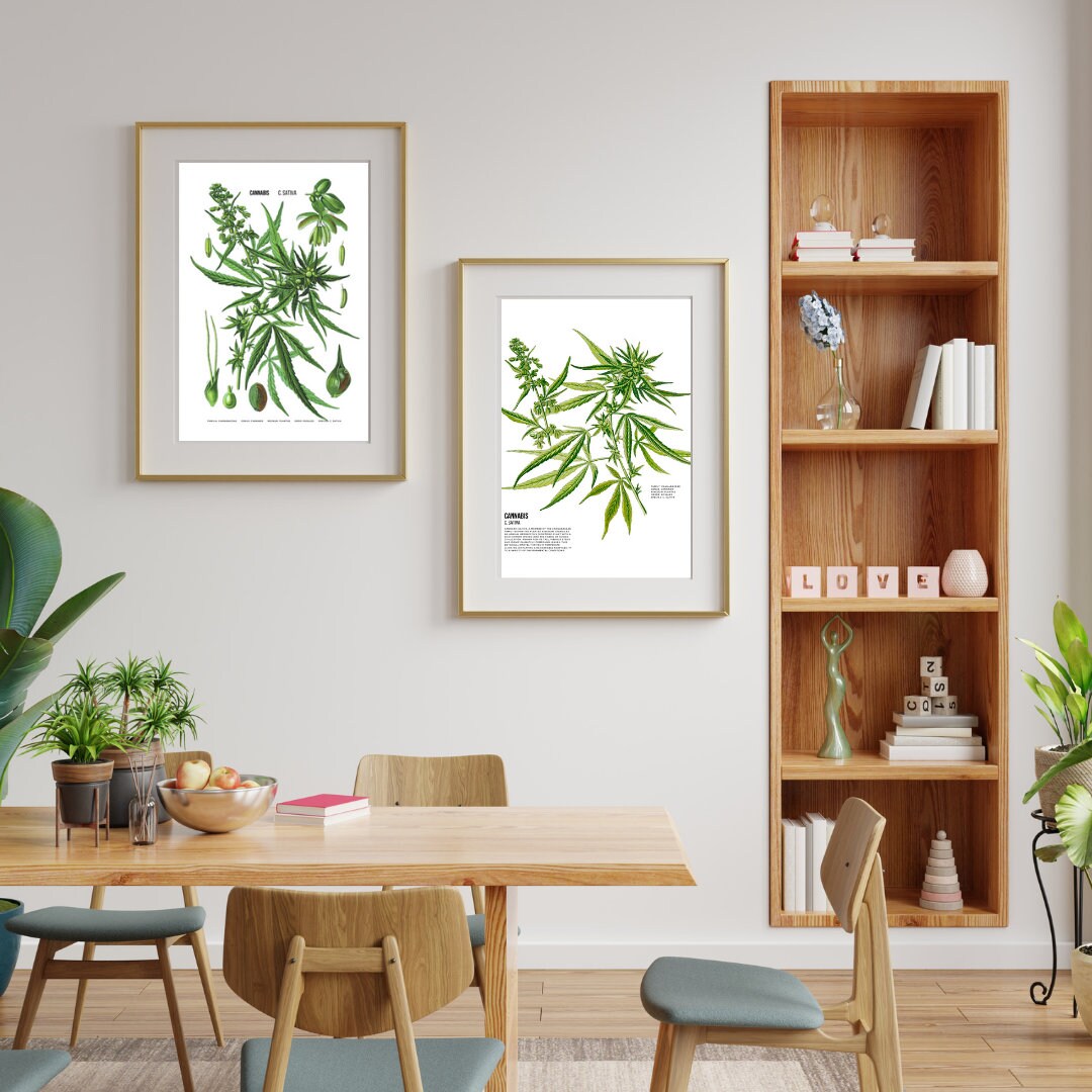 Cannabis Botany 2piece Wall Art Digital Herbology Poster for 420 Weed