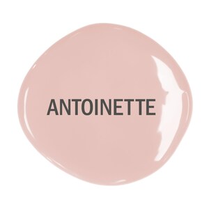 Antoinette Chalk Paint®