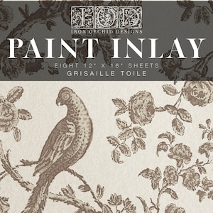 Grisaille Toile IOD Paint Inlay