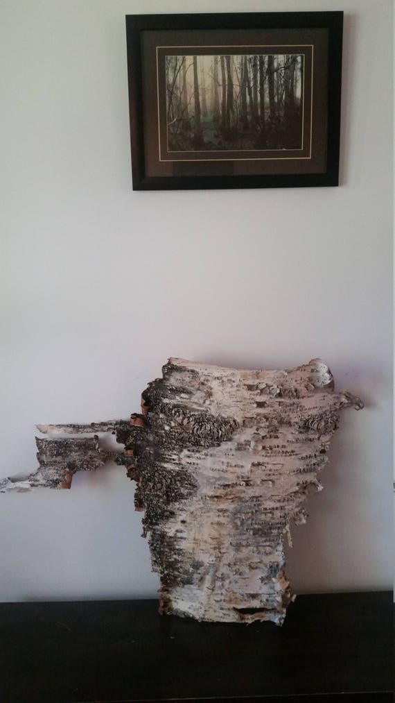 Birch Bark Etsy