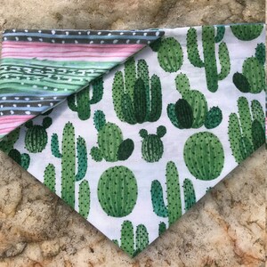 Cactus Valley Bandana