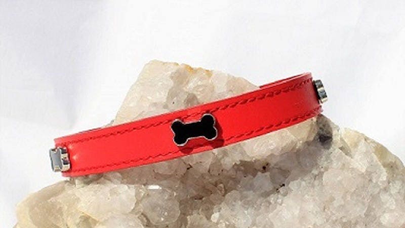 Collier en Cuir Rouge Pour Chien