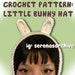 PDF PATTERN: Bunny Gorrito Ear Warmers Crochet Pattern 