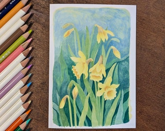 Daffodils ~ Blank Illustrated Greeting Card