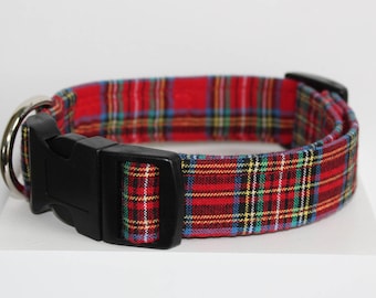 Tartan collar Clearance