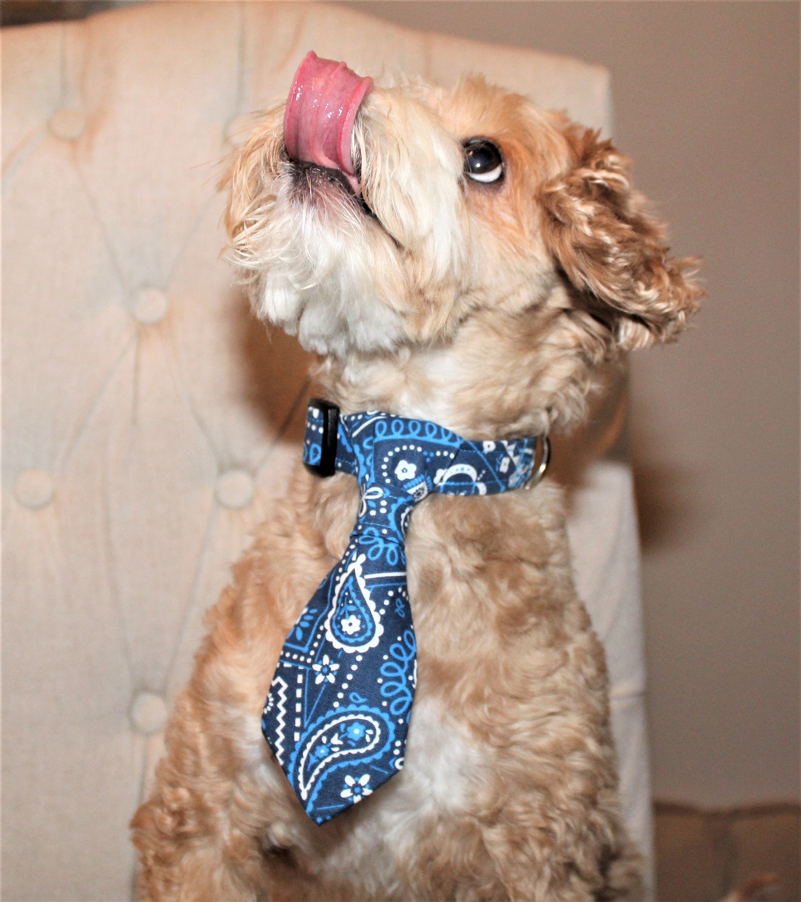 Necktie for Dogs Handmade Necktie Dog Accessories Fabric Etsy