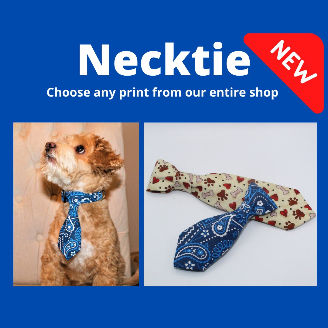 necktie dog