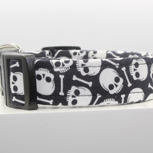 May include: Black dog collar with a white skull and crossbones pattern.