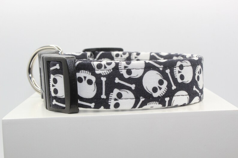 May include: Black dog collar with a white skull and crossbones pattern.