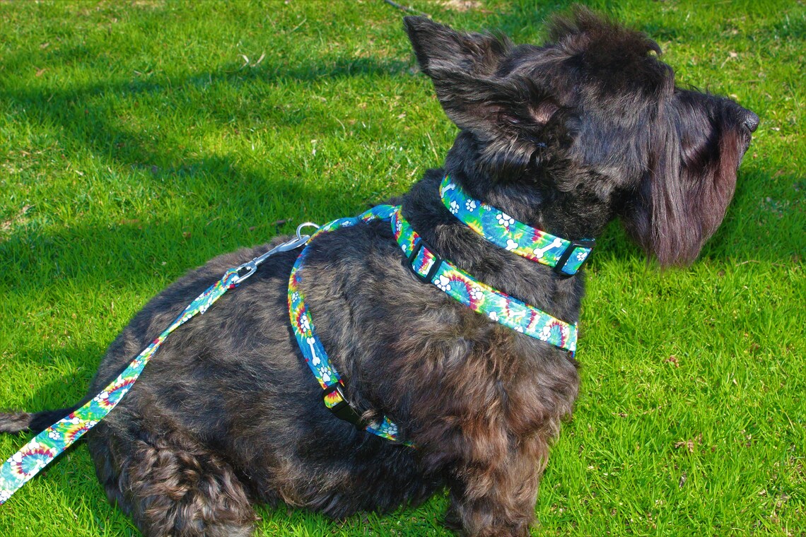 Daki's Harness Handmade Harness for dogs Fabric Harness Etsy