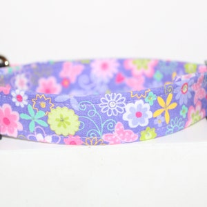 May include: A purple dog collar with a floral pattern featuring pink, yellow, green, and white flowers. The collar has a black buckle.
