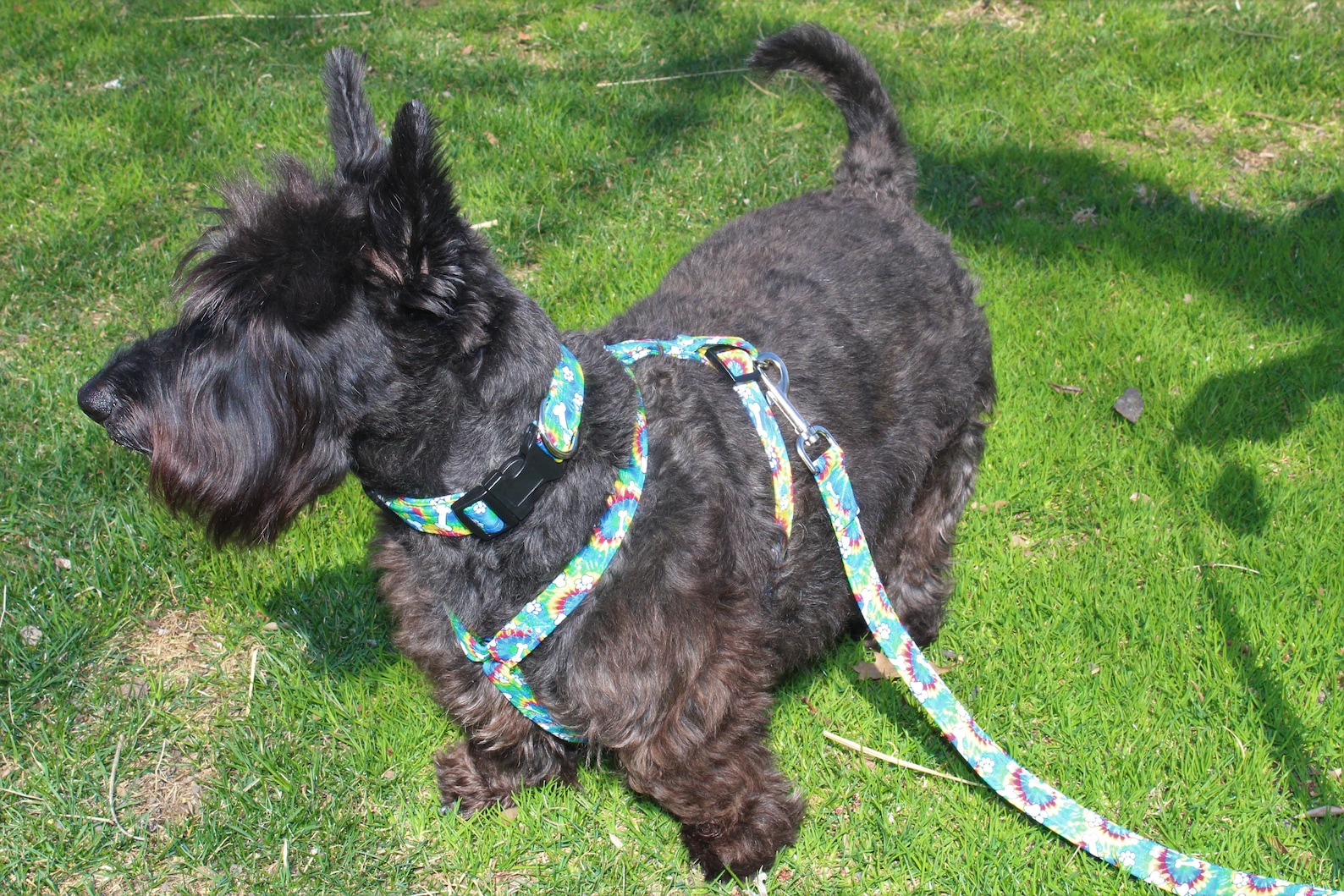 Daki's Harness, Handmade Harness for Dogs, Fabric Harness for Dogs
