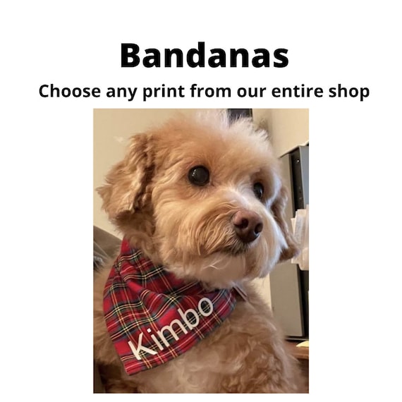 Slide on Bandana with Personalized Option, Dog bandanas, Personalized dog bandanas, Bandanas. (Choose any print)