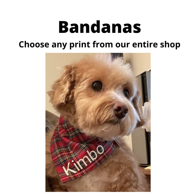 May include: A dog wearing a red plaid bandana with the name "Kimbo" in white lettering. The image includes the text "Bandanas" and "Choose any print from our entire shop". The dog has light brown fur and is looking to the side.