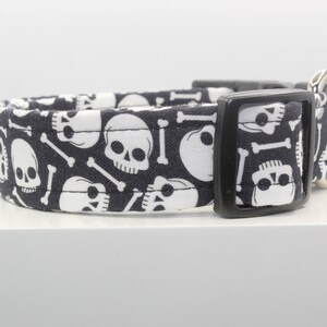 May include: Black dog collar with a white skull and crossbones pattern.