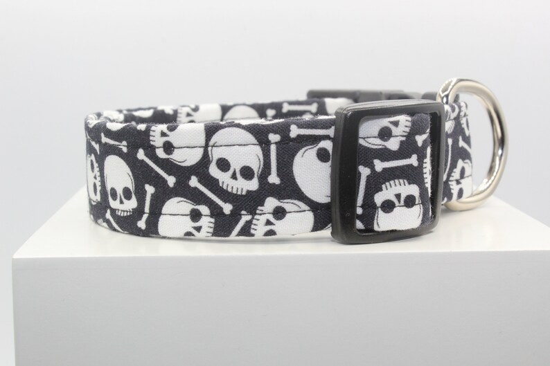 May include: Black dog collar with a white skull and crossbones pattern.