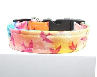 Rainbow Swallow | Handmade dog collar, Fabric dog collar, Adjustable dog collar, Durable dog collar, Stylish dog collar, Custom dog collar
