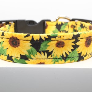 Floral Harvest dog collar, Handmade dog collars, Print dog collar. Fabric dog collar, Custom dog collar, Dog collars, Collars for dogs, Dogs