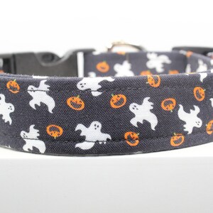 May include: A black dog collar with a white ghost and orange pumpkin pattern.