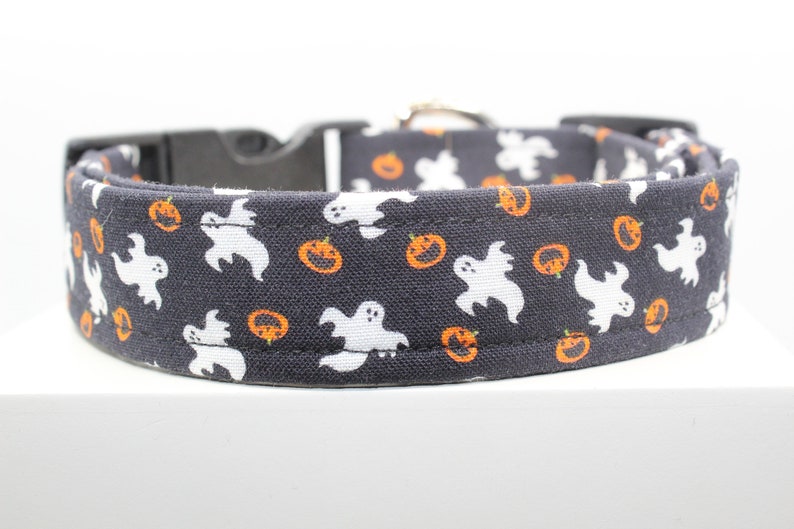 May include: A black dog collar with a white ghost and orange pumpkin pattern.