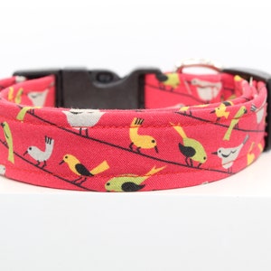 Birdies dog collar, Handmade dog collar, Fabric dog collar, Custom dog collar, Print dog collar, Collars for dogs, Spring dog collar, Dogs