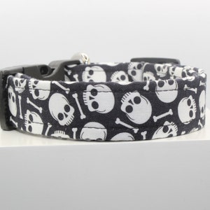 May include: Black dog collar with a white skull and crossbones pattern.