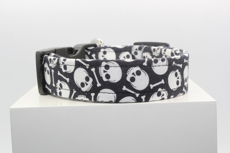 May include: Black dog collar with a white skull and crossbones pattern.