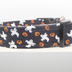 May include: A black dog collar with a white ghost and orange pumpkin pattern.