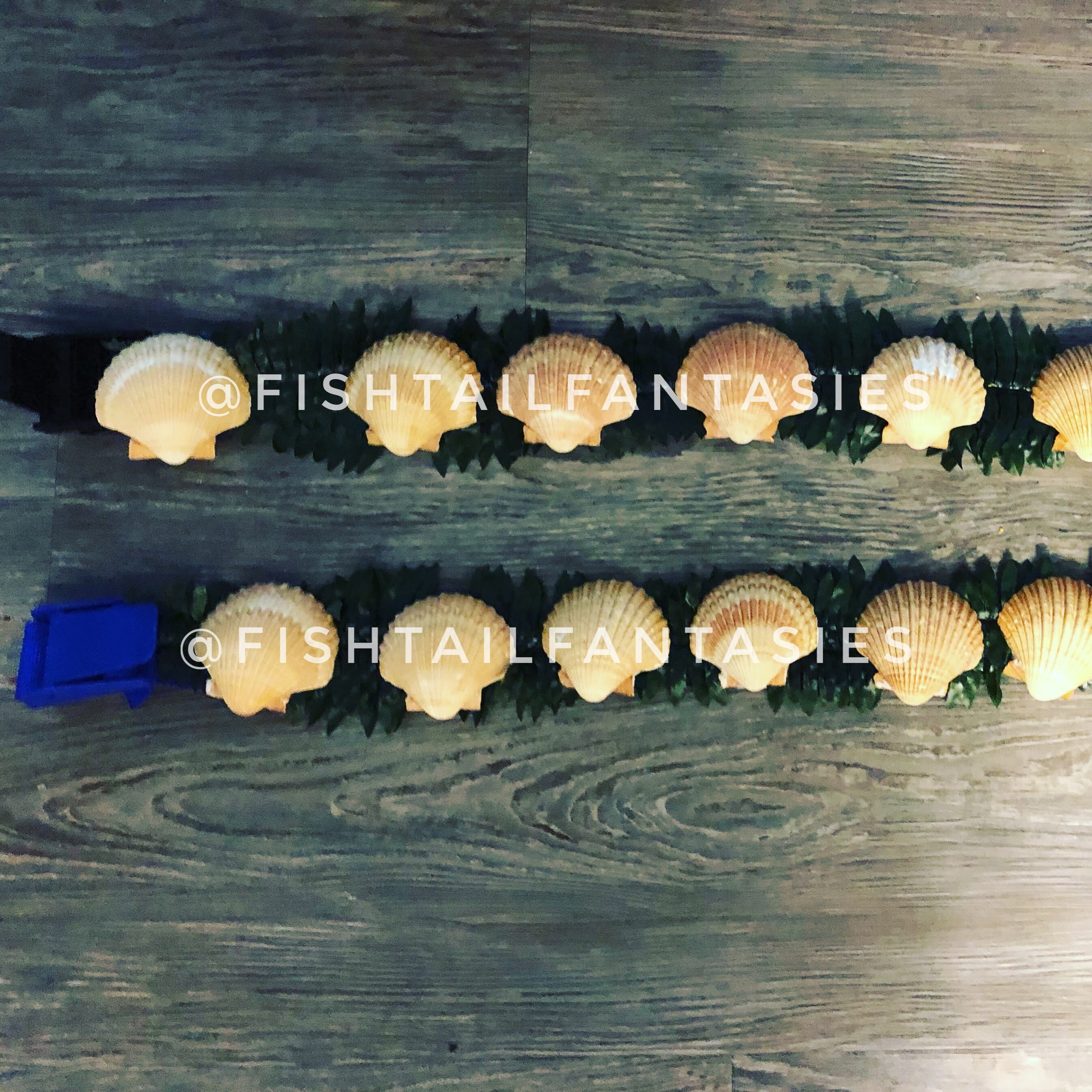 Mermaid Inspired Dive Weight Belt Scuba Dive Weights Scuba Etsy