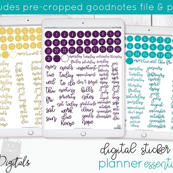 Digital Planner Essentials | Dates Days Months Stickers | Functional Date Stickers for Digital Planners in a Vibrant Color Theme