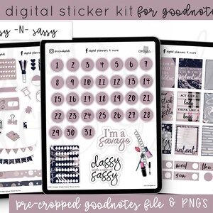 Digital Classy N Sassy Planner Girl Boss Stickers Includes - Etsy
