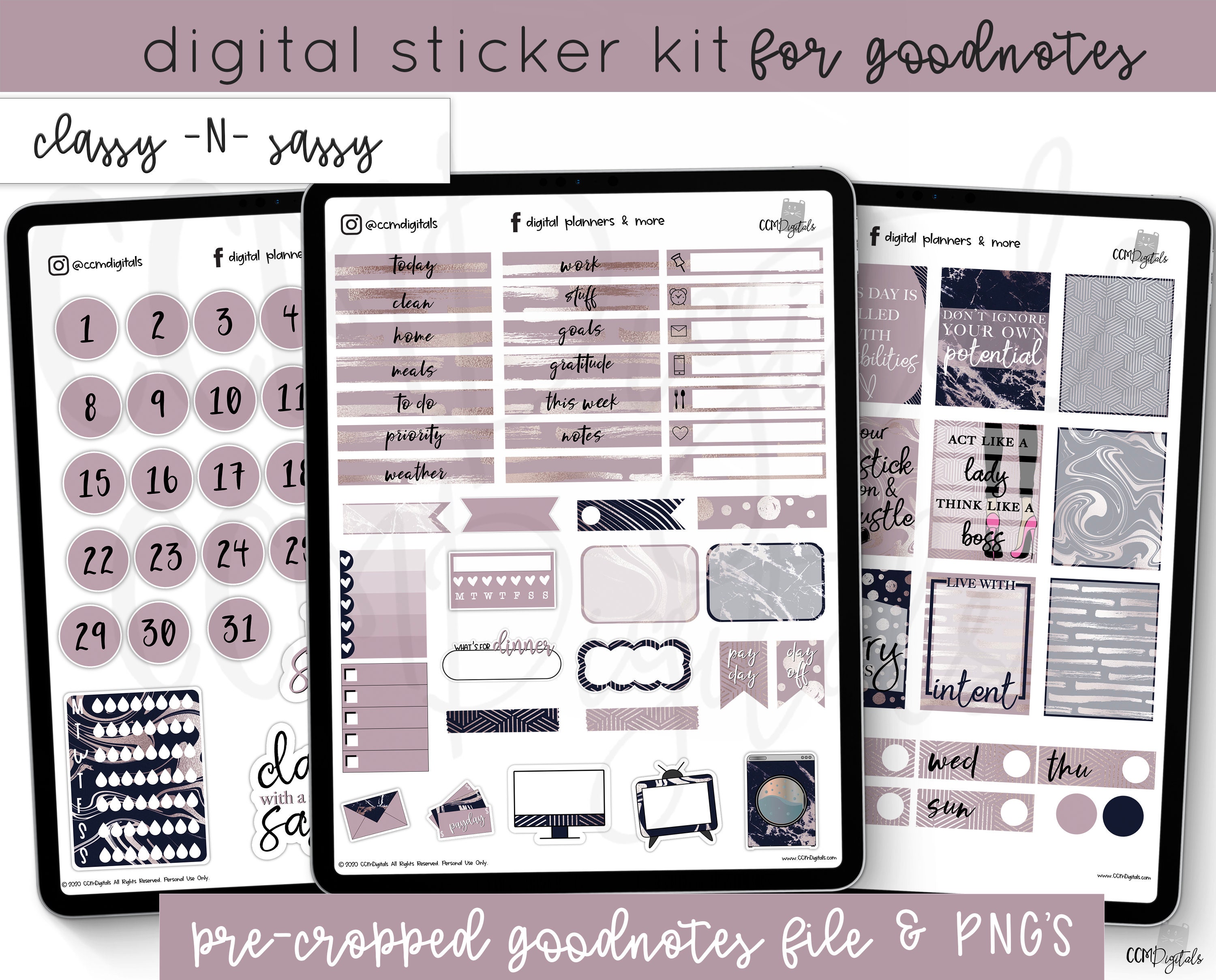 Digital Classy N Sassy Planner Girl Boss Stickers Goodnotes | Etsy