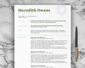 professional nursing resume