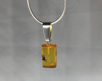 Inclusion Fossil Baltic Amber Pendant Silver