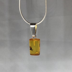 Inclusion Fossil Baltic Amber Pendant Silver