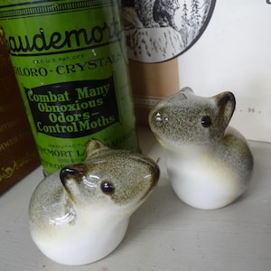 May include: Two ceramic guinea pig ornaments with a glossy finish. The guinea pigs are grey and white with dark brown ears and eyes. A green can of "Audemort Chloro-Crystals" is in the background.