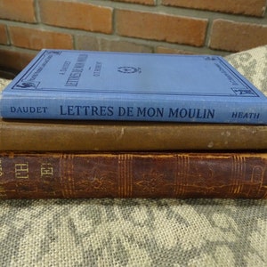Antique School Book Set: 1880s-1920s Cloth Bound Readers