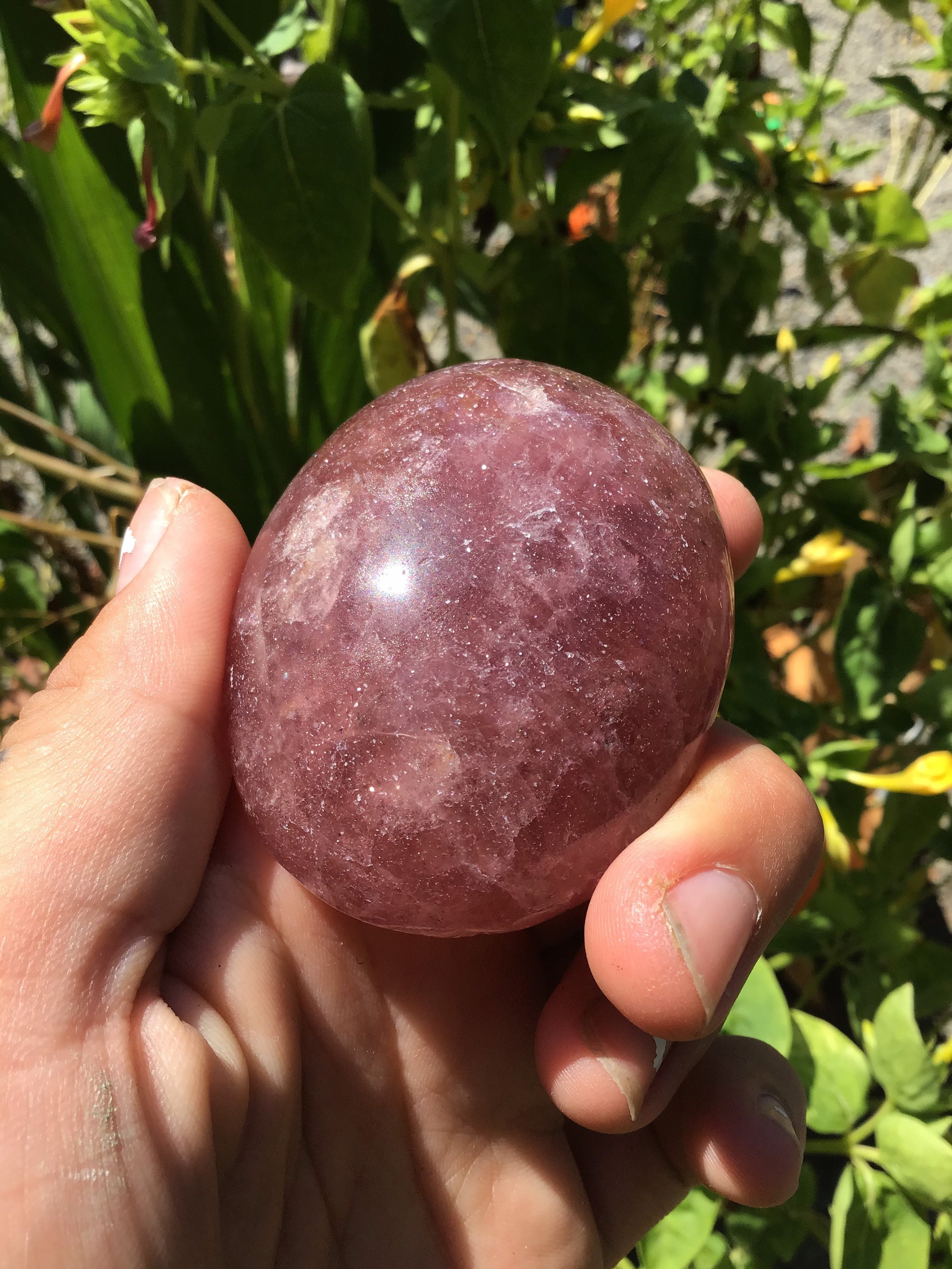 Chakra Crystals Asparagus Vegetables