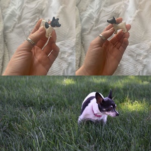 Pet ornaments