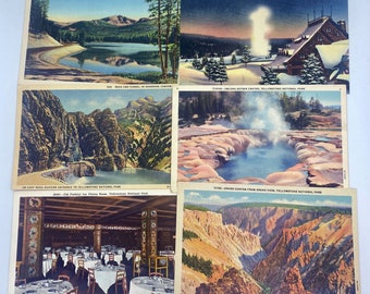 Yellowstone UNPOSTMARKED vintage postcards (Grab bag random selection - Yellowstone National Park)