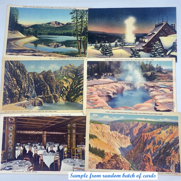 Yellowstone UNPOSTMARKED vintage postcards (Grab bag random selection - Yellowstone National Park)